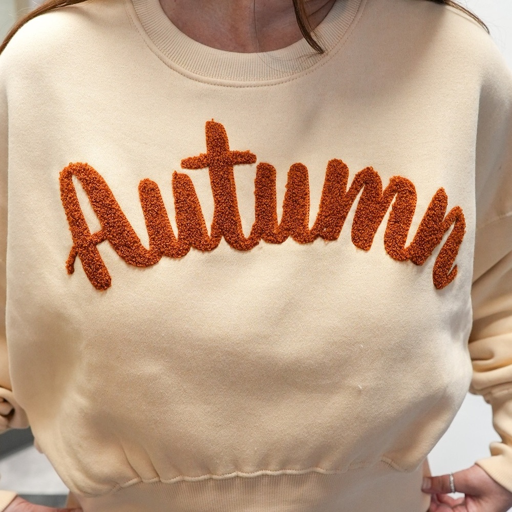 August Bleu Autumn Maggie sweatshirt in buttercream-NWT - Picture 3 of 6